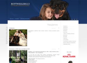 Interneto svetainių kūrimas Druskininkai